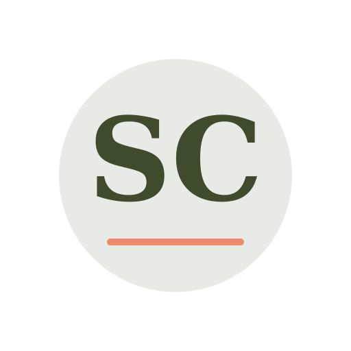 Sheri Chimney Services logo